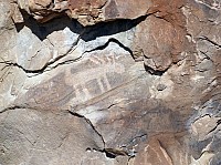 Dinosaur national park (8).JPG